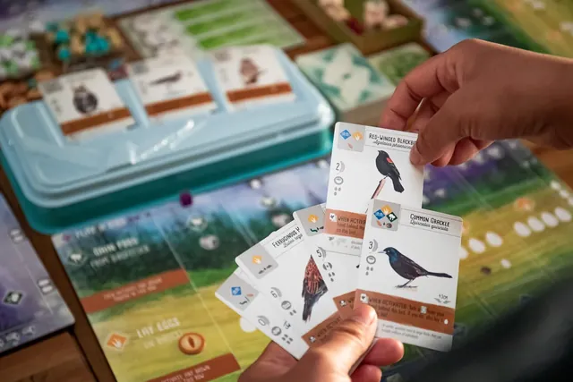 A player holding a hand of bird cards above the table